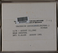 Image Associated With the Occurence
